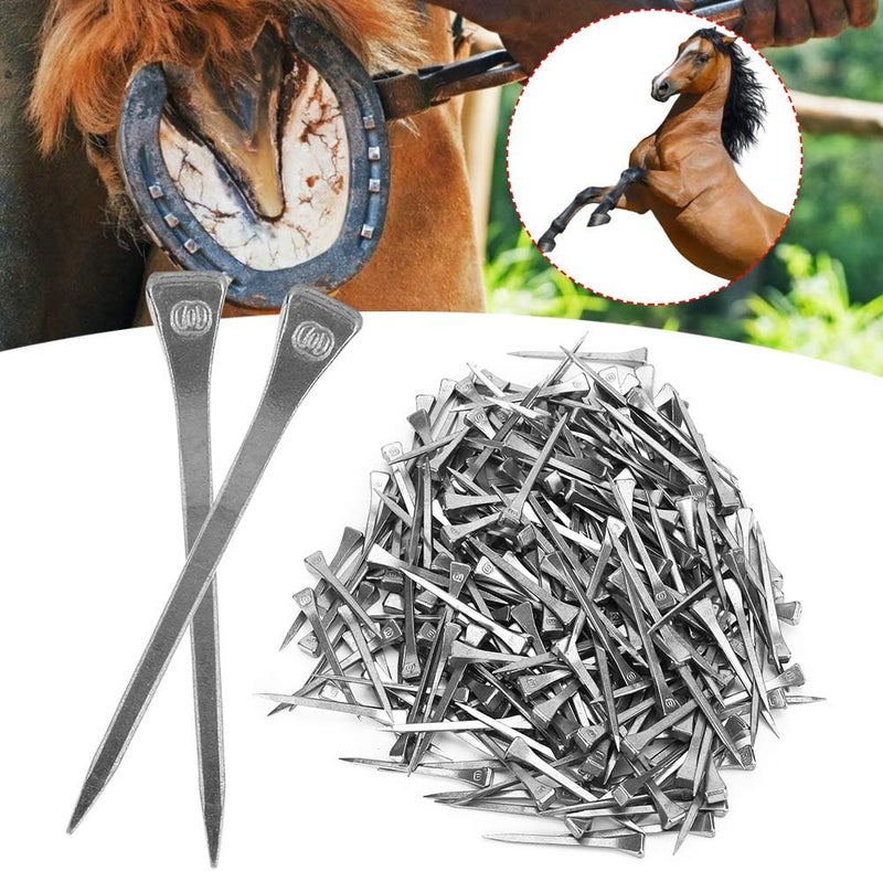 Kodrily 250PCS Horseshoe Nails, E6 Horse Shoe Nails, Sturdy Horseshoe Nail Kit, 2.13in Elasticity Steel Hoof Peg Firmly Horse Tool Accessory for Horse Training Equestrian Sports - Image 5